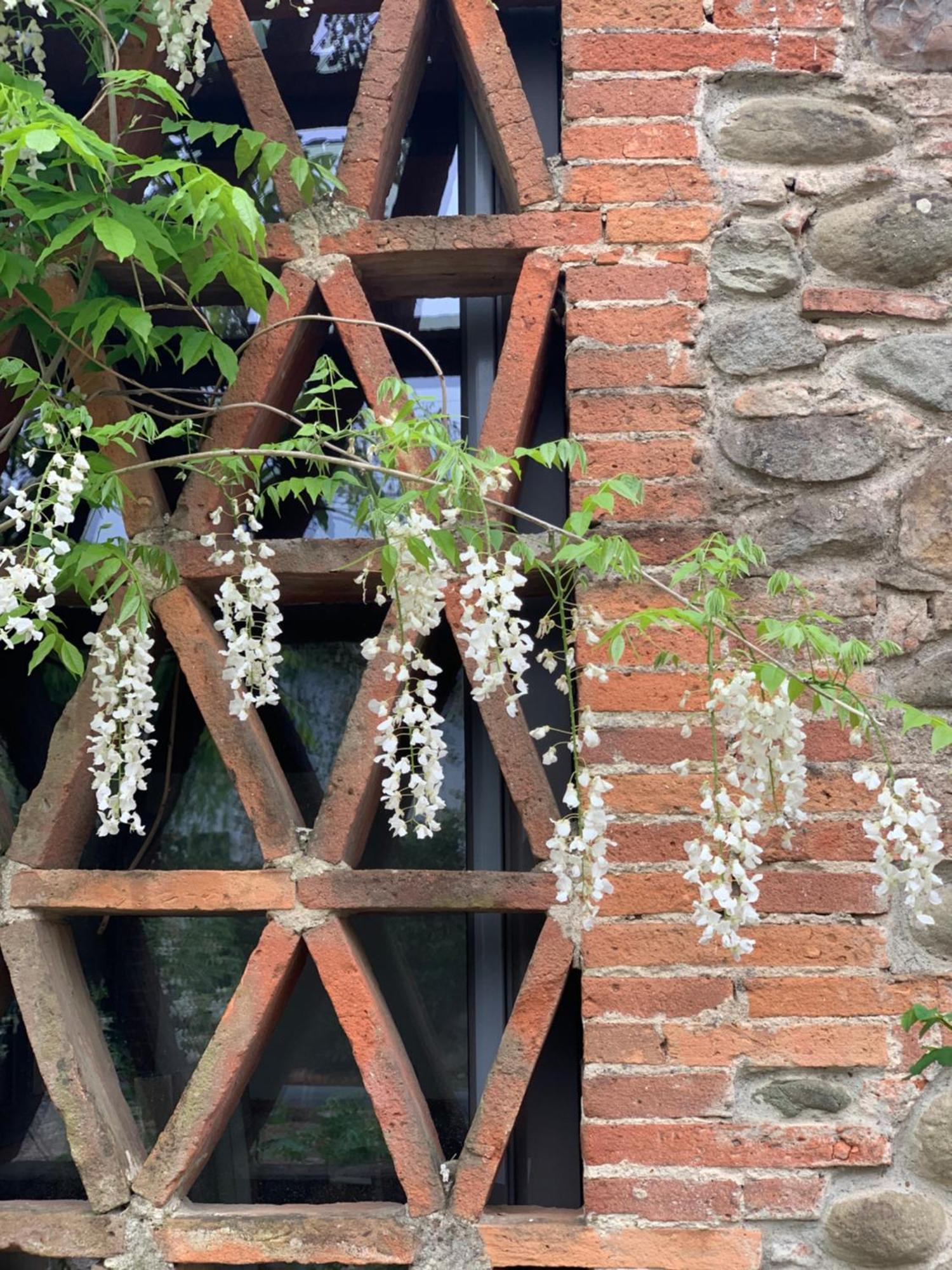 Casale La Gora - B&B Di Charme Figline Valdarno Extérieur photo